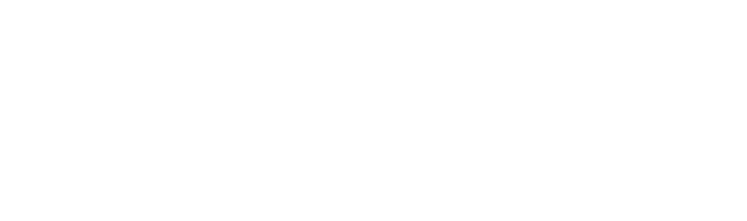 Leo Escape
